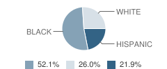 Central School (The) Student Race Distribution