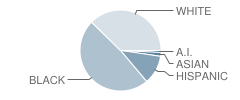 Reach / Cbip School Student Race Distribution