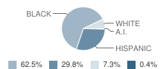 Beta School Student Race Distribution