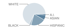 Alachua Learning Center School Student Race Distribution