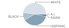 Hollywood Central Elementary School Student Race Distribution