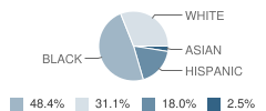 Somerset Neighborhood School Student Race Distribution