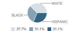 Arc Broward, Inc. School Student Race Distribution