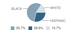 Ann Storck Center, Inc. School Student Race Distribution