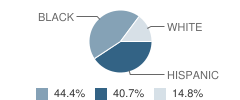 Sandor Wiener School of Opportunity Student Race Distribution