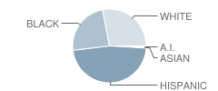 Jackson Elementary School Student Race Distribution