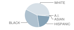 Caminiti Exceptional Center School Student Race Distribution