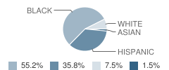 Richardson Academy Student Race Distribution