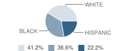 Riverside Academy Student Race Distribution