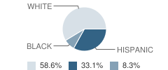 North County Charter School Student Race Distribution