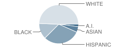 Windy Hill Middle School Student Race Distribution