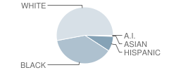 Alee Academy Charter School Student Race Distribution