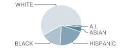 Clermont Middle School Student Race Distribution