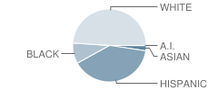 San Carlos Park Elementary School Student Race Distribution