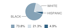 Pace Center for Girls School Student Race Distribution