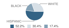 Just for Girls School Student Race Distribution