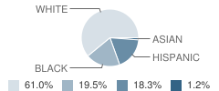 Bradenton Charter School Student Race Distribution