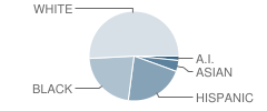 West Port Middle School Student Race Distribution