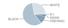 Lee Middle School Student Race Distribution