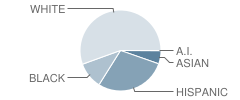 Discovery Middle School Student Race Distribution