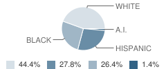 Eagle Youth Academy Student Race Distribution