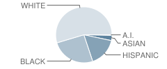 Dunedin Highland Middle School Student Race Distribution