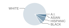 Joseph L. Carwise Middle School Student Race Distribution