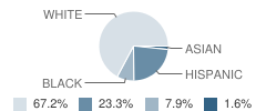 Maynard E. Traviss Career Center School Student Race Distribution