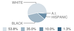 Doris A. Sanders Learning Center School Student Race Distribution