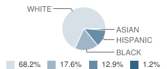 Achievement Academy Student Race Distribution