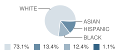 Toledo Blade Elementary School Student Race Distribution