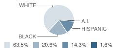 Triad School Student Race Distribution