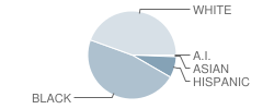 North Sumter Intermediate School Student Race Distribution