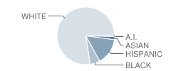 Freedom Elementary School Student Race Distribution