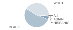 Rosenwald High School Student Race Distribution