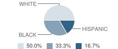 Collier Academy Student Race Distribution