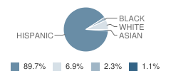 Mater Gardens Academy Student Race Distribution