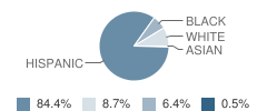 Mater Academy Lakes Middle Student Race Distribution