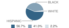 Lawrence Academy Elementary Charter Student Race Distribution