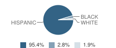 Mater Academy East Charter High Student Race Distribution