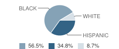 Highland Park Sipp/Sart School Student Race Distribution
