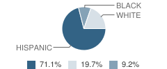 South Florida Autism Charter School Inc Student Race Distribution