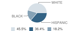 Virtual School Student Race Distribution