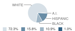 Literacy Leadership Charter High School Student Race Distribution