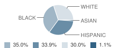 Community Charter School of Excellence Student Race Distribution