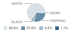 North Nicholas High School Student Race Distribution