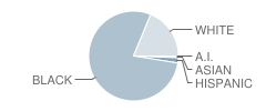 Life Skills Center School Student Race Distribution