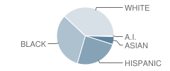 Orlando Science Middle High Charter School Student Race Distribution