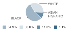 Believers Academy Student Race Distribution