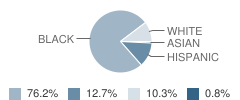 Turning Points Academy Student Race Distribution